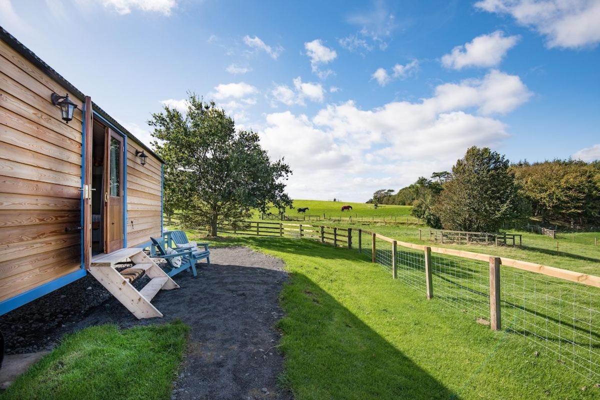 Cow Parsley Shepherd'S Hut Berwick Upon Tweed Εξωτερικό φωτογραφία
