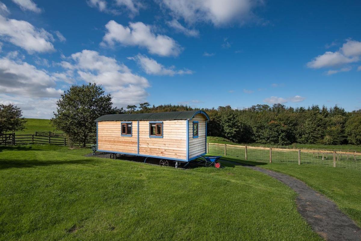 Cow Parsley Shepherd'S Hut Berwick Upon Tweed Εξωτερικό φωτογραφία
